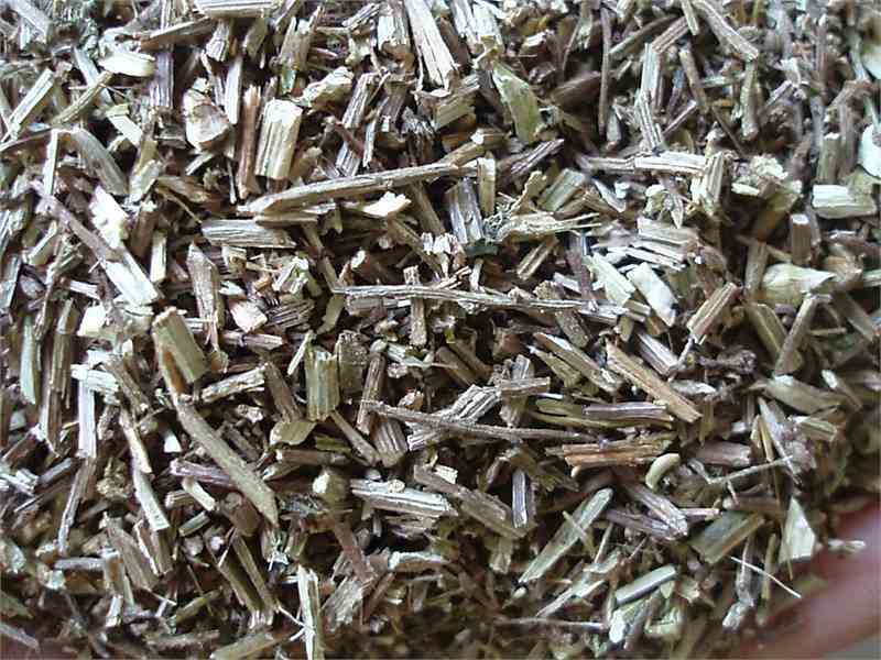Eisenkraut